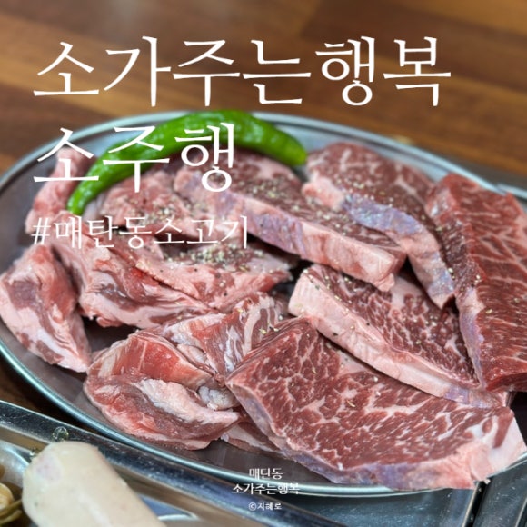 소주행 이미지