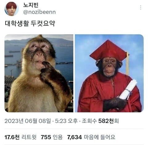 뽕뽑기 이미지