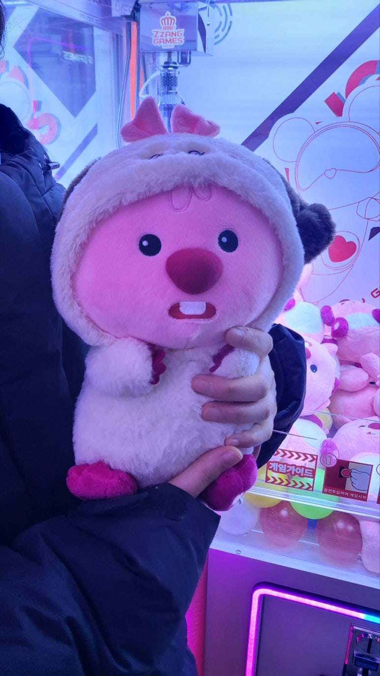 힙플조이 이미지