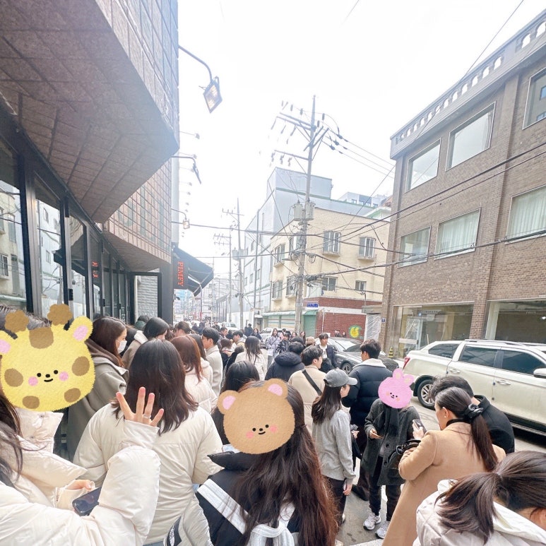 도로마망 이미지