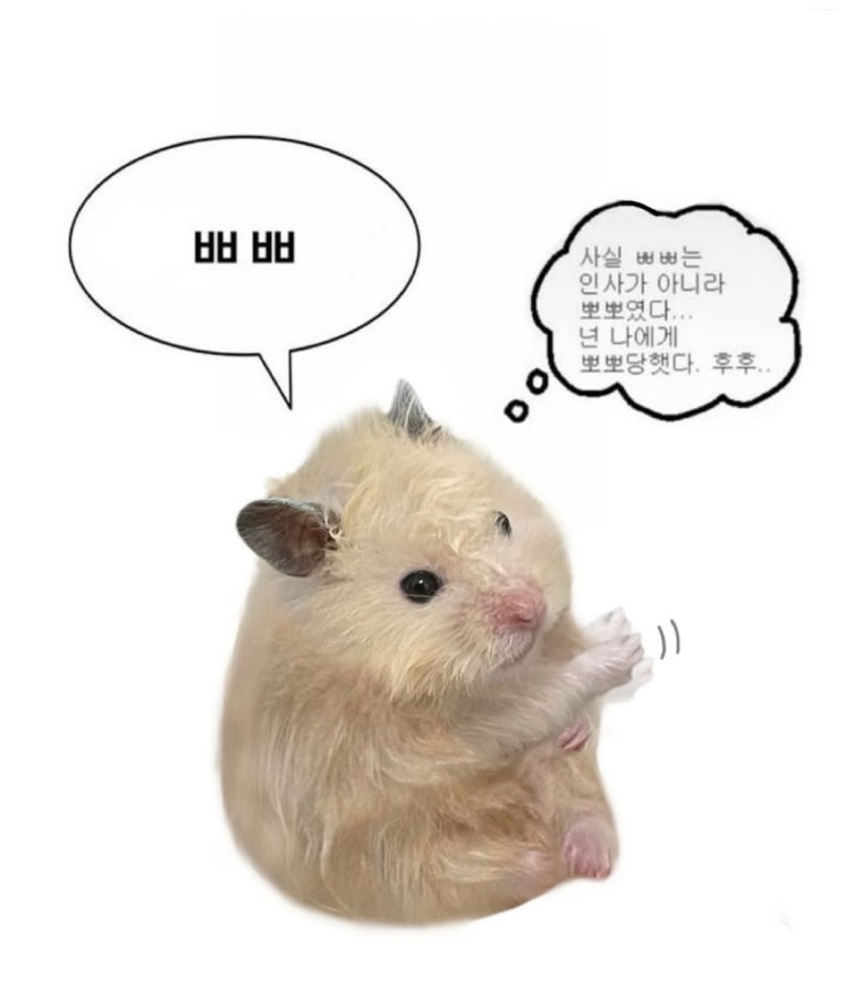 온더브레드 이미지