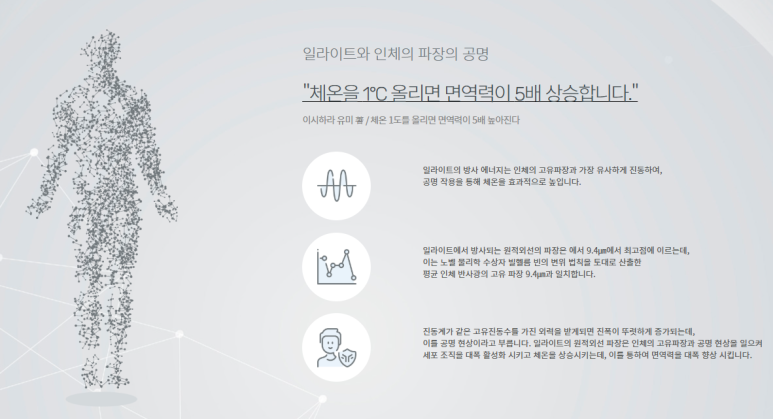 수목토일라이트예산 이미지