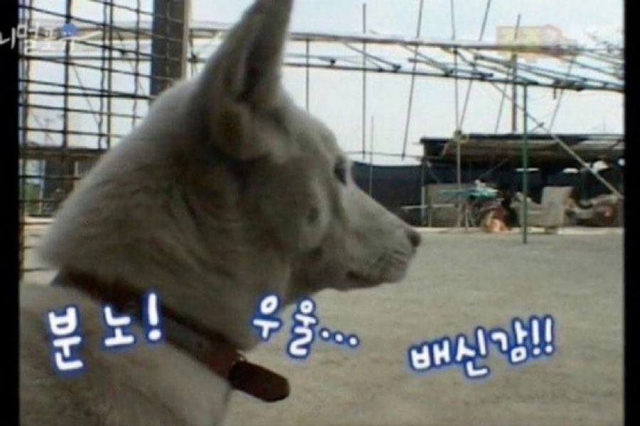 일이칠 이미지
