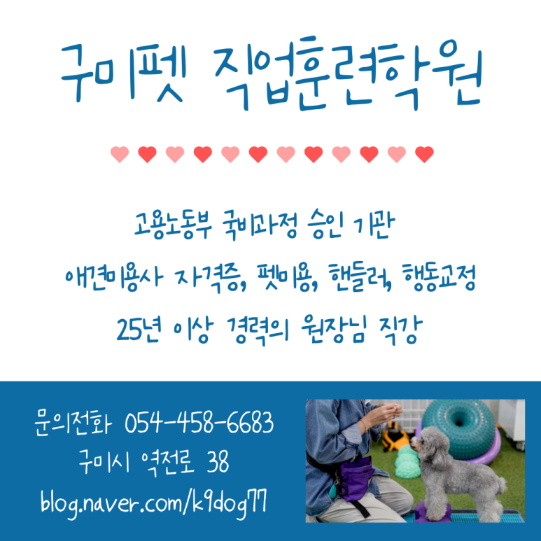 구미펫직업훈련학원 이미지