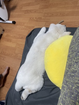 발모아 이미지