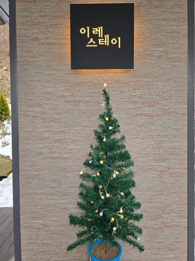 이레스테이 이미지