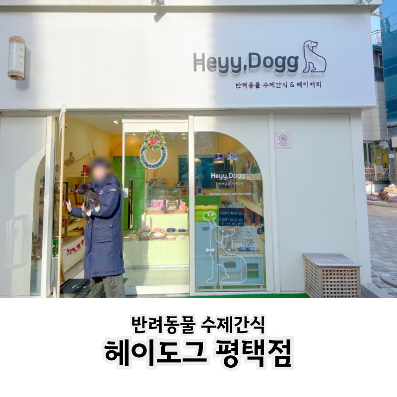 헤이도그 이미지