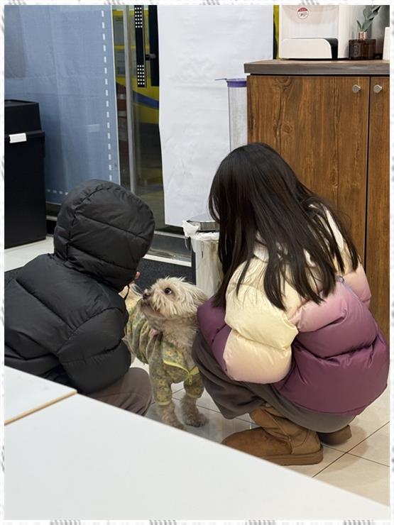 휴대폰창고 이미지