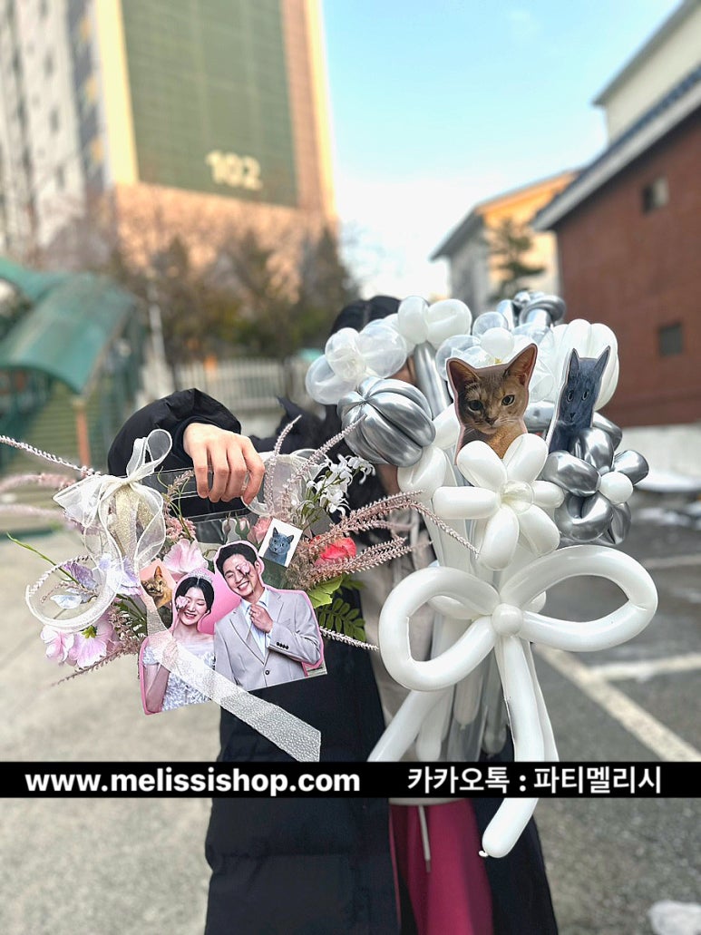 파티멜리시 이미지