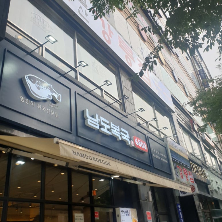 광장복어 이미지