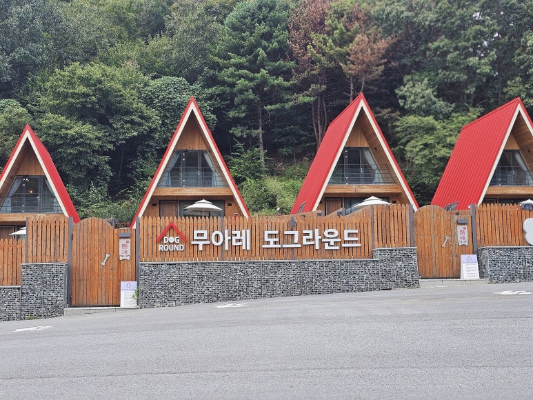 도그라운드 이미지
