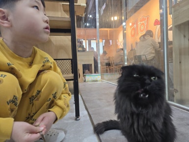 댕댕냥냥부천점 이미지
