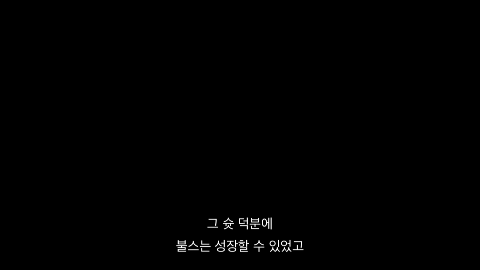 피피나인 이미지