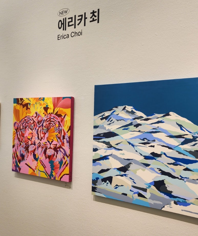 로컬컬렉터 이미지