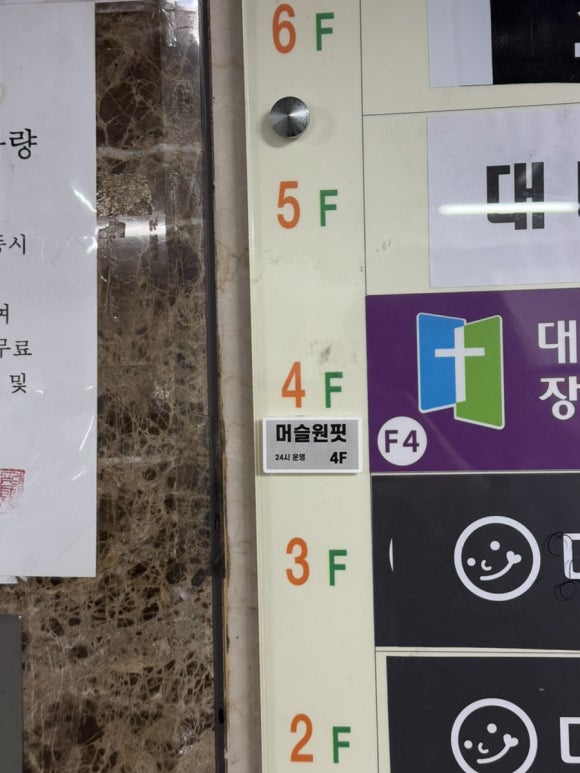 머슬원핏배곧 이미지