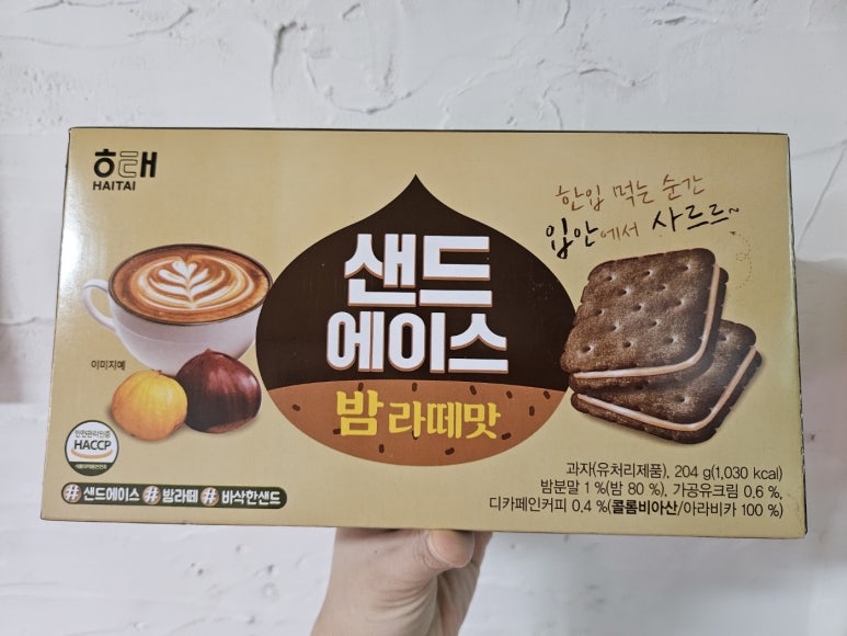에이스홍 이미지