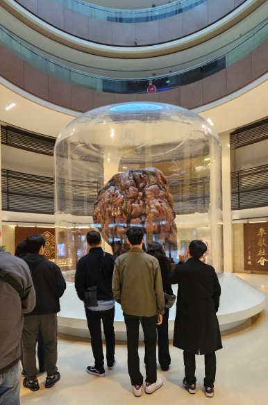 넥스트런 이미지