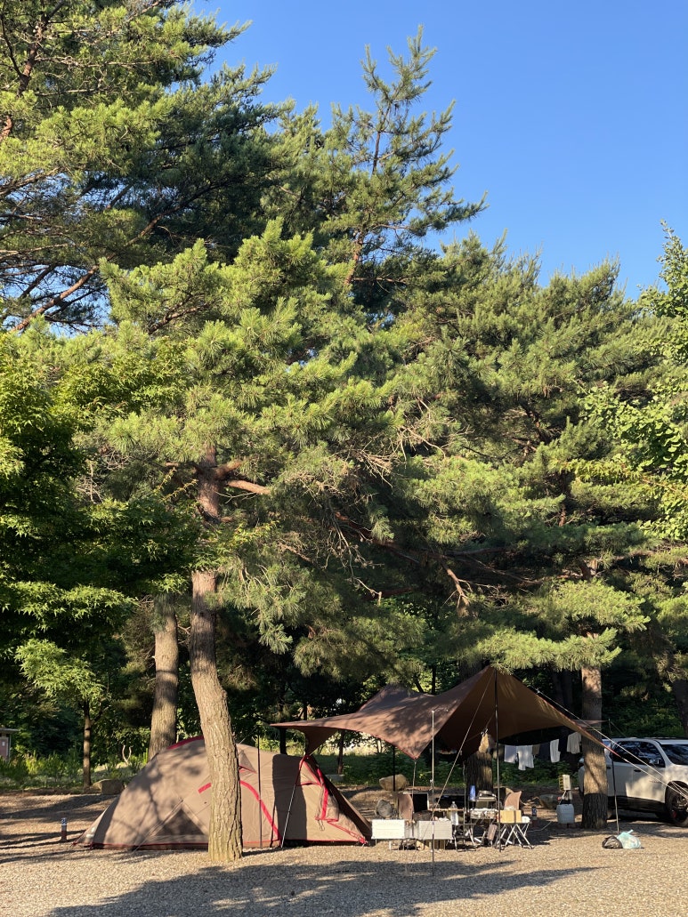 삼척엘림캠핑장 이미지