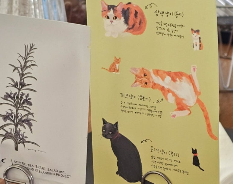 자란들 이미지