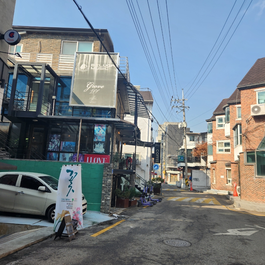 넬라스 이미지