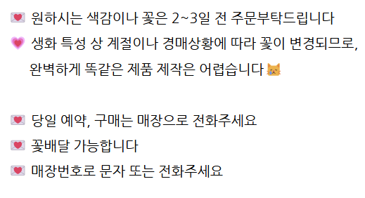 벨로데이 이미지
