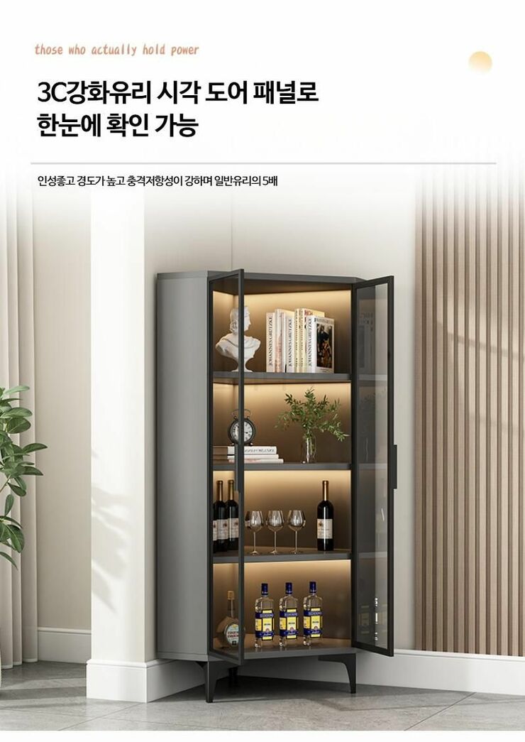 인성강화도어 이미지
