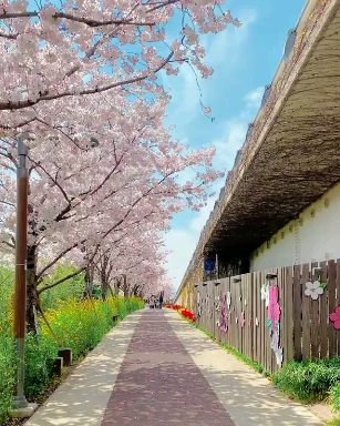 오퍼센트 이미지
