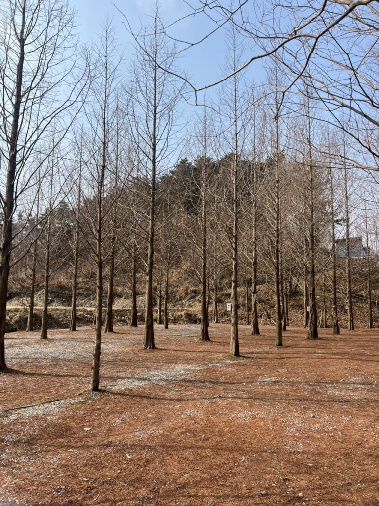 더힐링식물원야영장 이미지