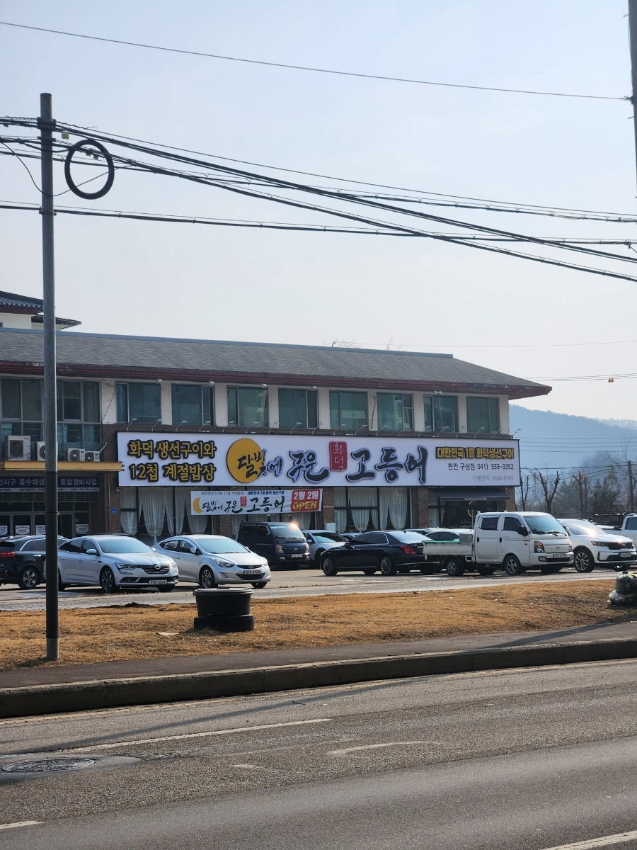 생선상륙 이미지