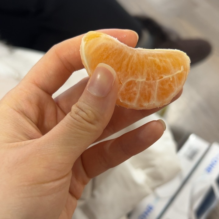 가자여행사주 이미지