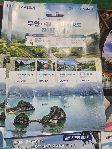 팔도관광여행사 이미지
