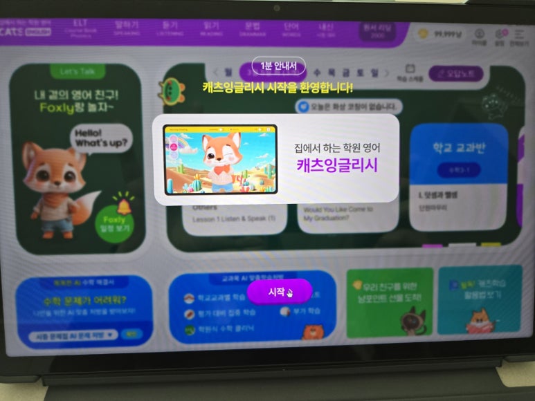 캐츠박스 이미지