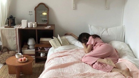 분홍고양이 이미지