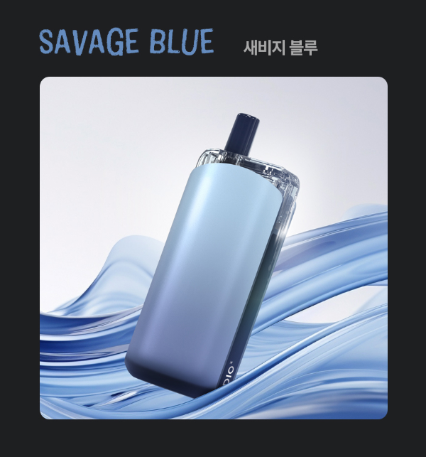 래빗베이프일산 이미지