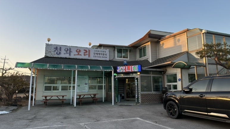 청와오리 이미지