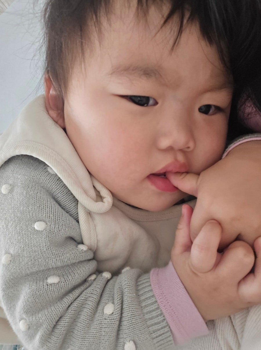 페이스경양식 이미지