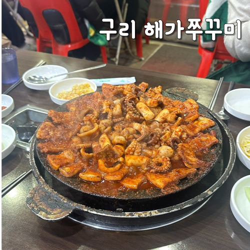해가쭈꾸미 이미지