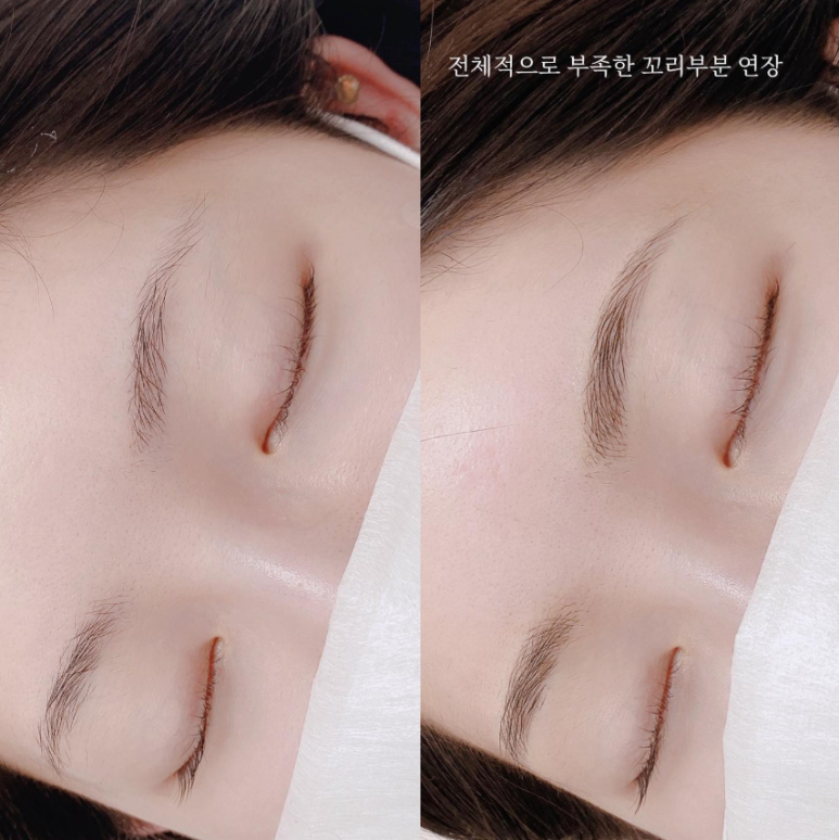 눈썹대장 이미지