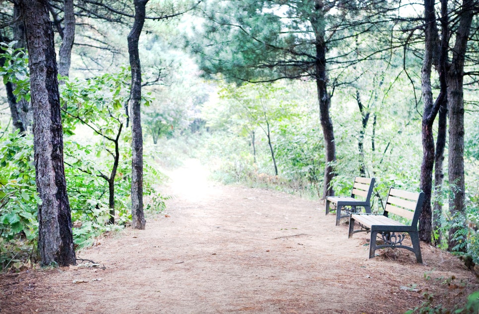 수서배수지 이미지