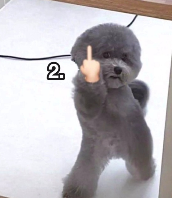 영타코 이미지
