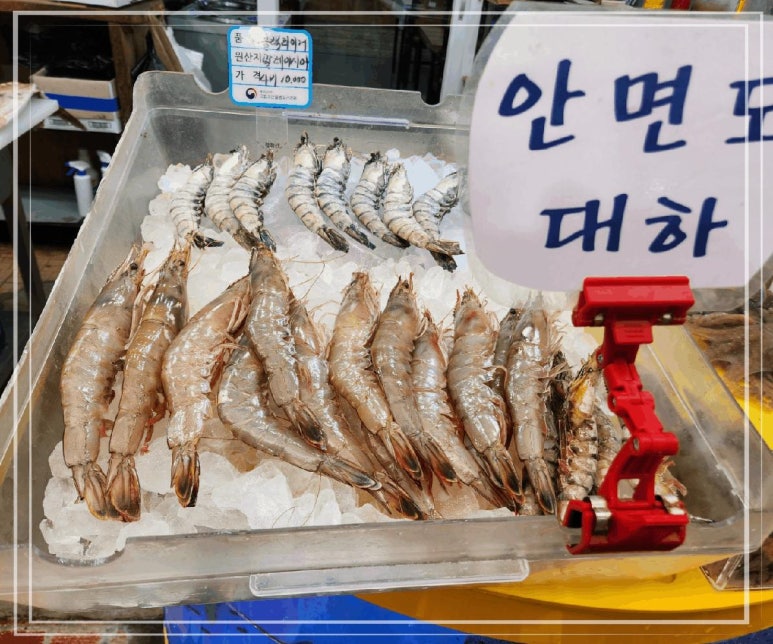 바다회수산 이미지