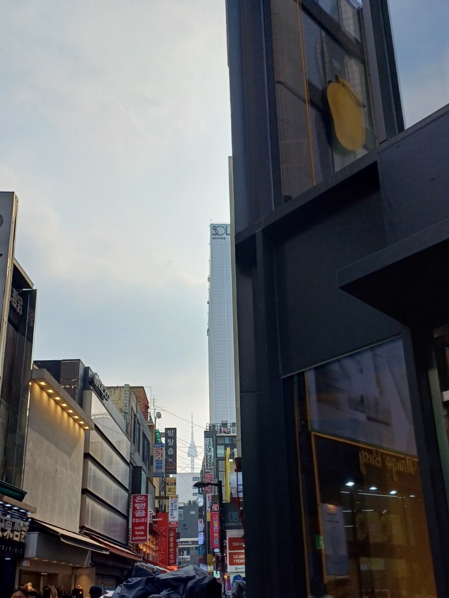 위글위글남산타워 이미지