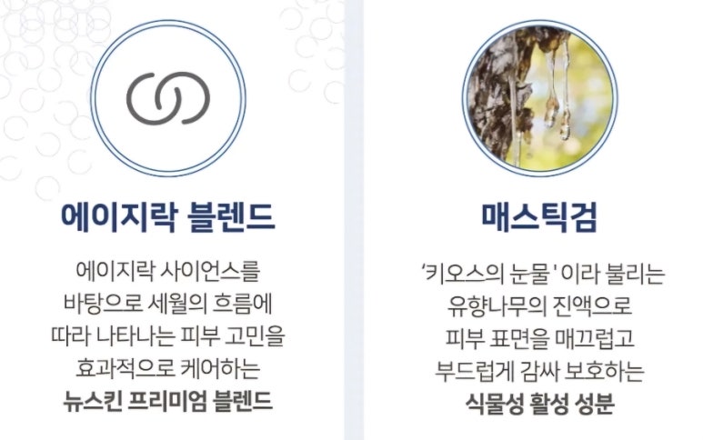 뉴세월따라 이미지