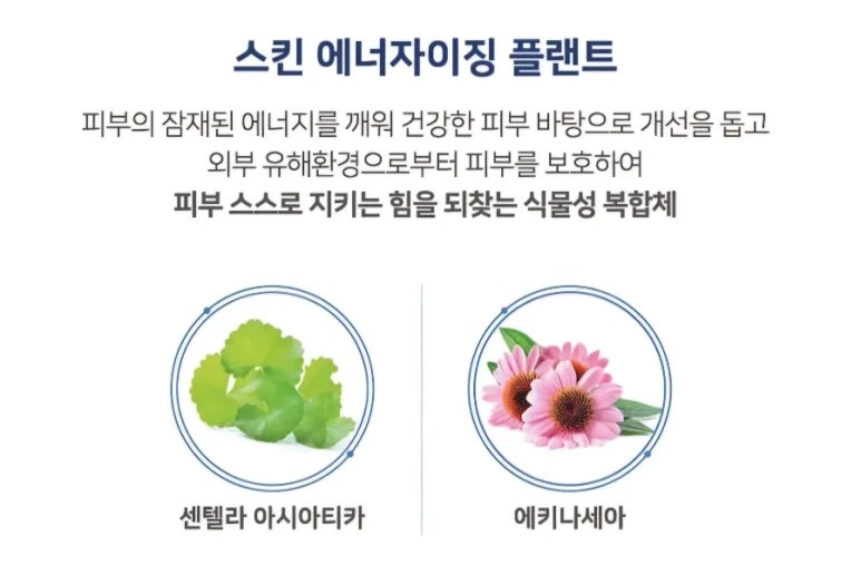 뉴세월따라 이미지