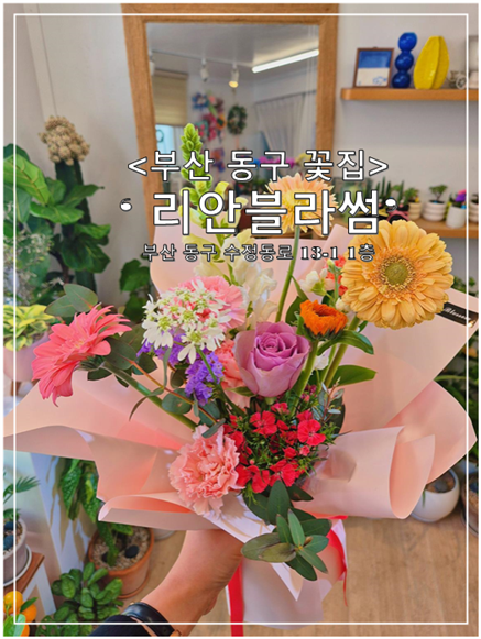 리안블라썸 이미지