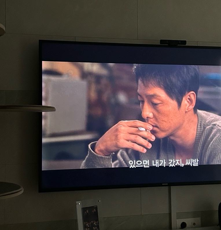 쥬니파스타 이미지