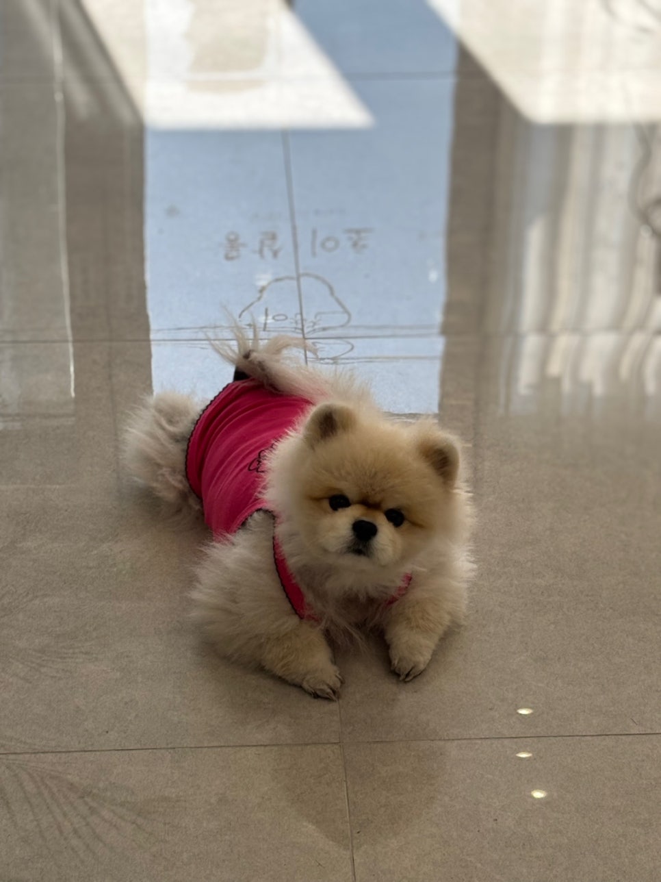 초이살롱 이미지
