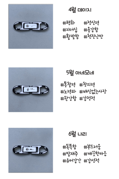 플라비 이미지