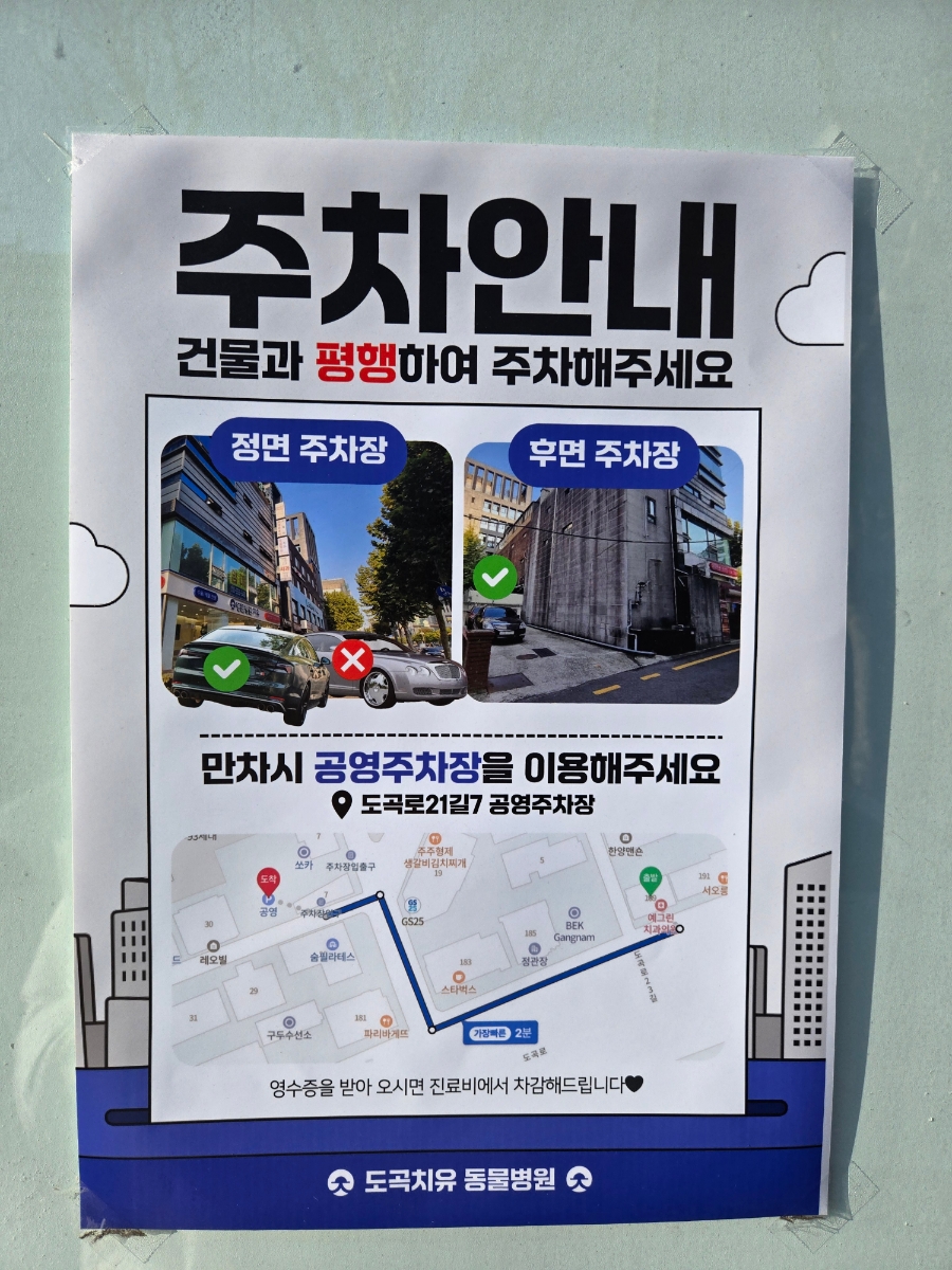 강남 24시 도곡치유 동물병원: 강아지 슬개골 건강검진 후기 — 사진 4