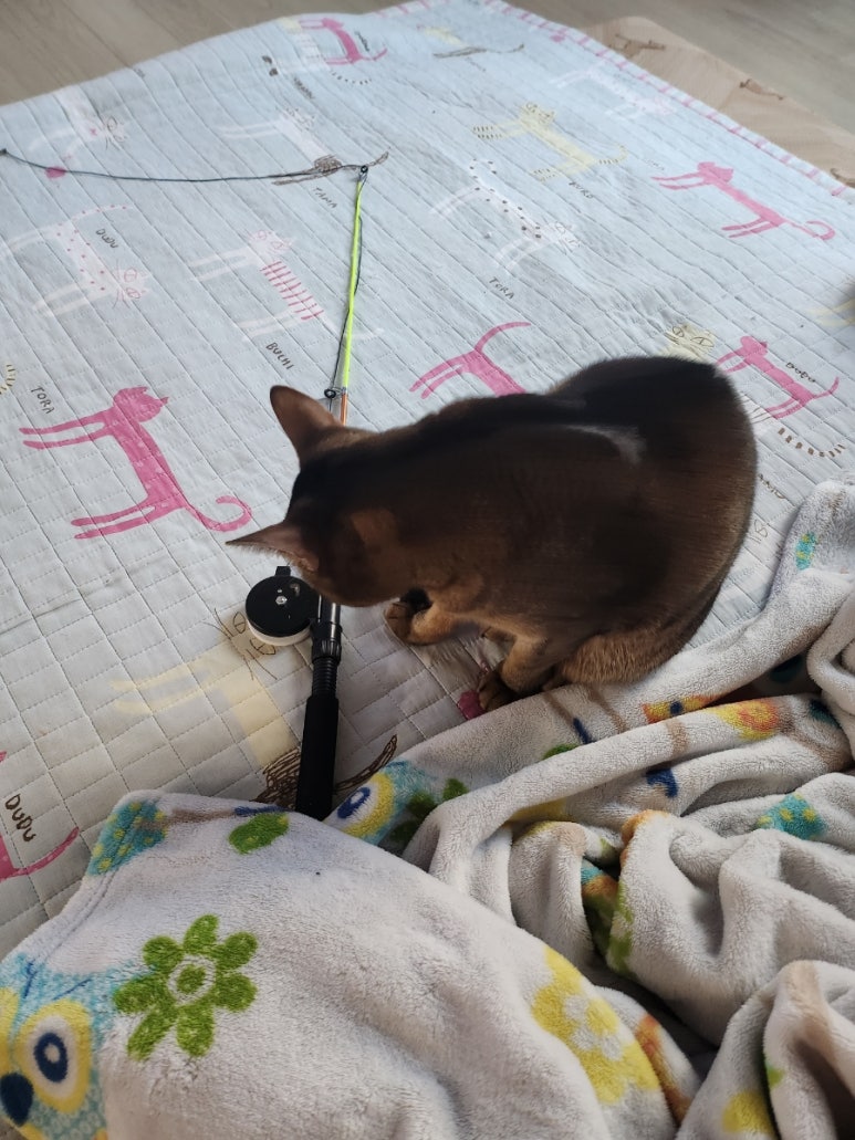 성꼬미 이미지